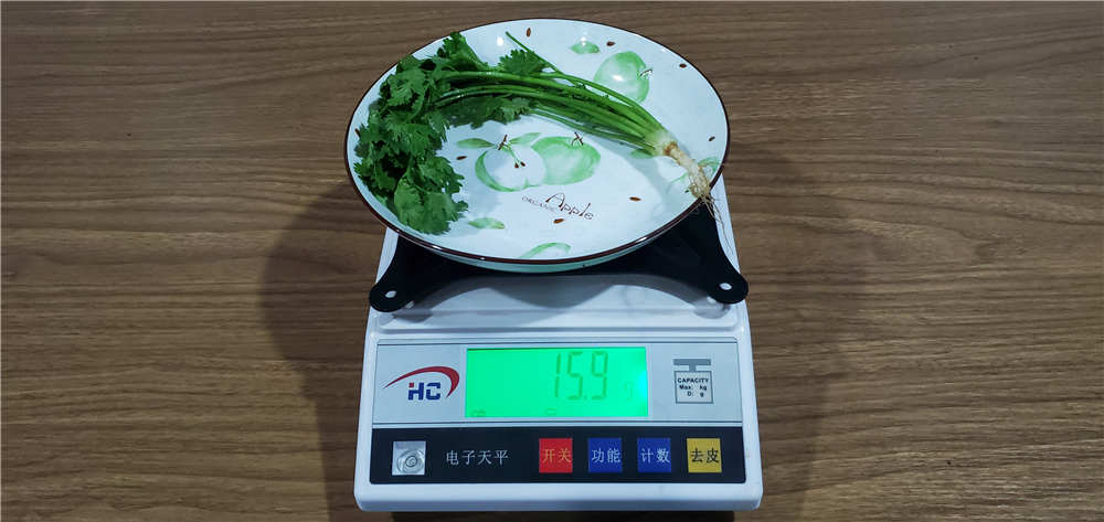 545飺ܶżˣ