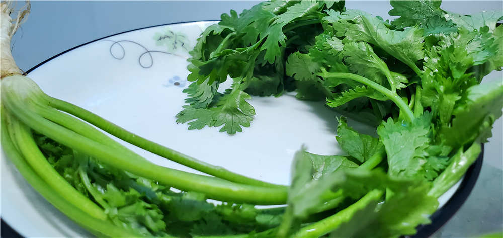 545飺ܶżˣ