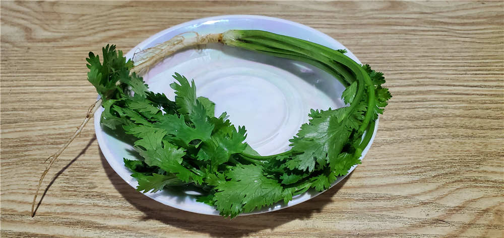 545飺ܶżˣ