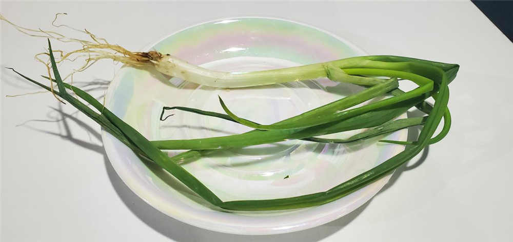 ϲԴе Ϊʲôѡ508䣿