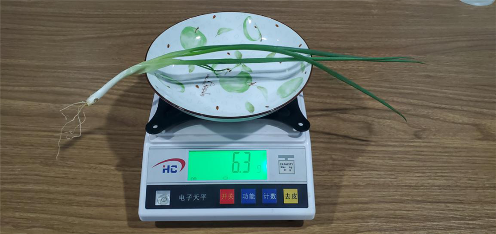 ϲԴе Ϊʲôѡ508䣿
