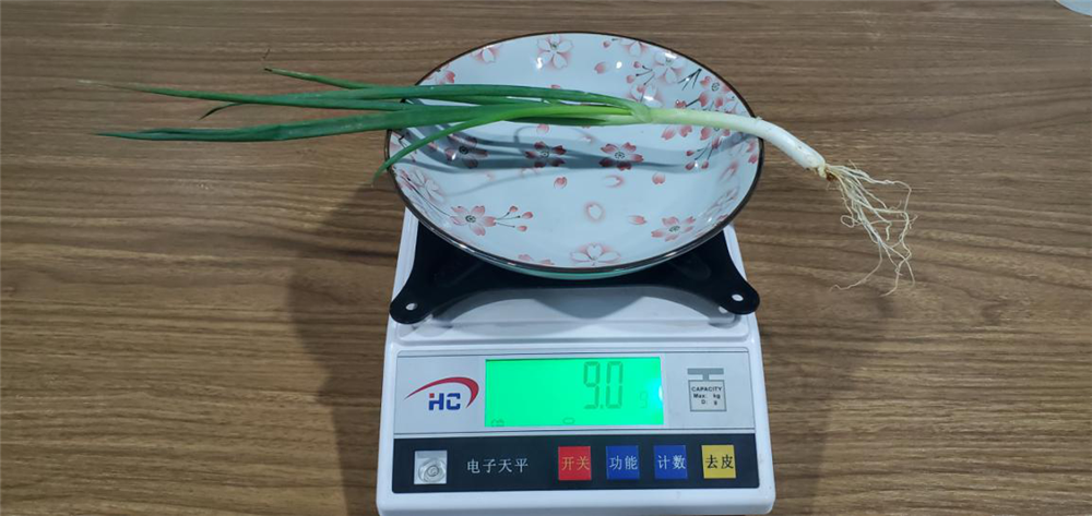 ϲԴе Ϊʲôѡ508䣿