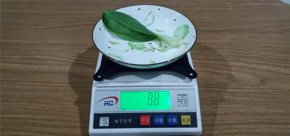 369䣺һ½ĸ͵