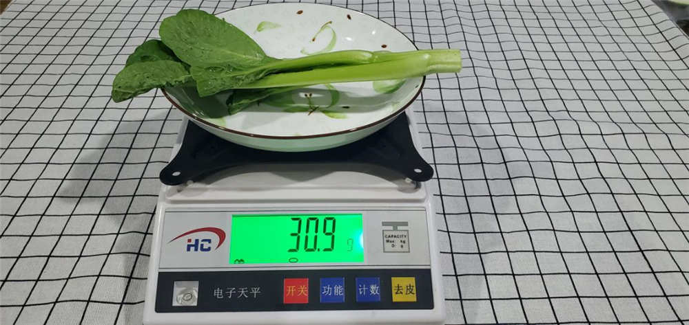 446ԣȶ̫