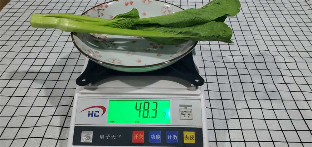 446ԣȶ̫