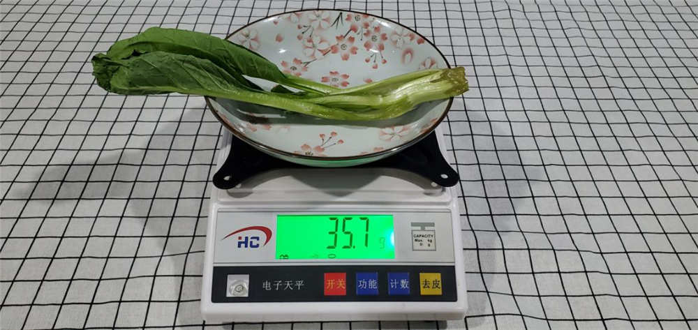 446ԣȶ̫