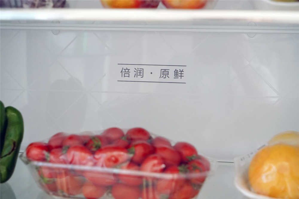 446ԣȶ̫