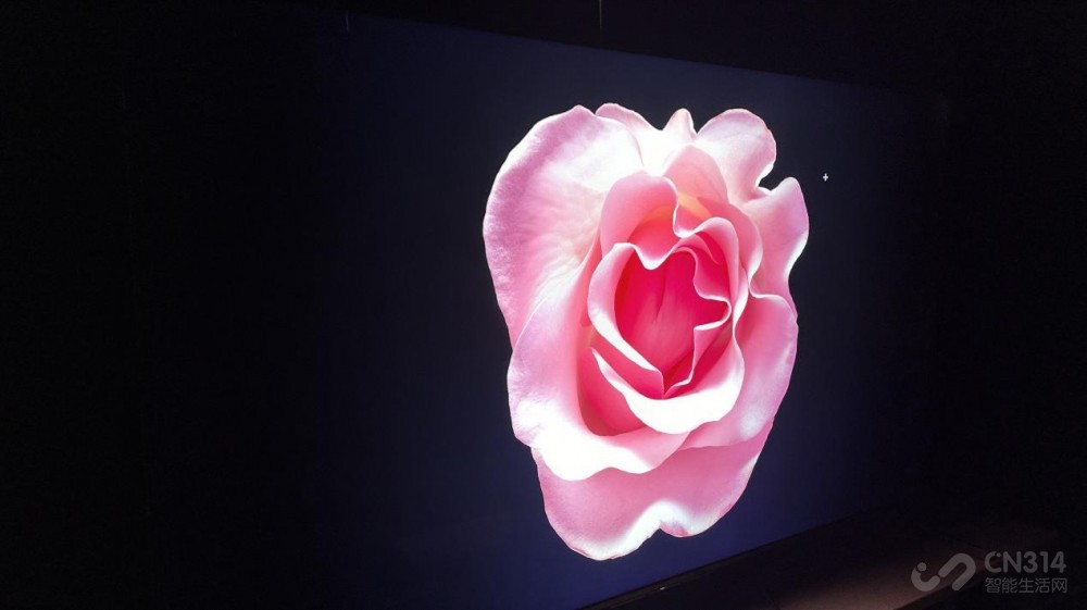 TCL Q9L ProͬλڡMini LED 