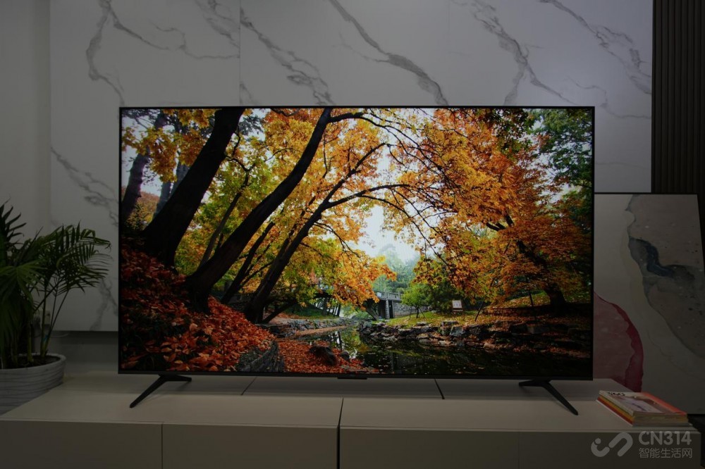 TCL Q9L ProͬλڡMini LED 