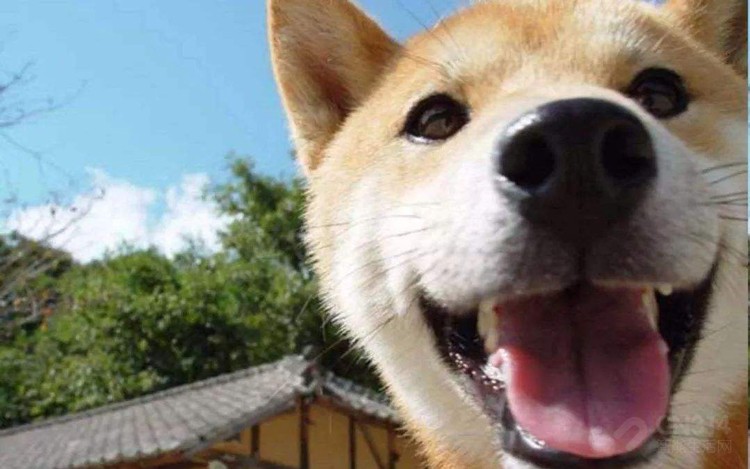 ��һ�����棬���������ĳ��ÿ��������գ�