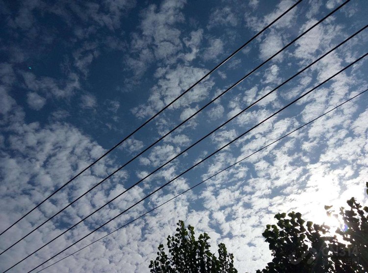 ��һ�����棬���������ĳ��ÿ��������գ�