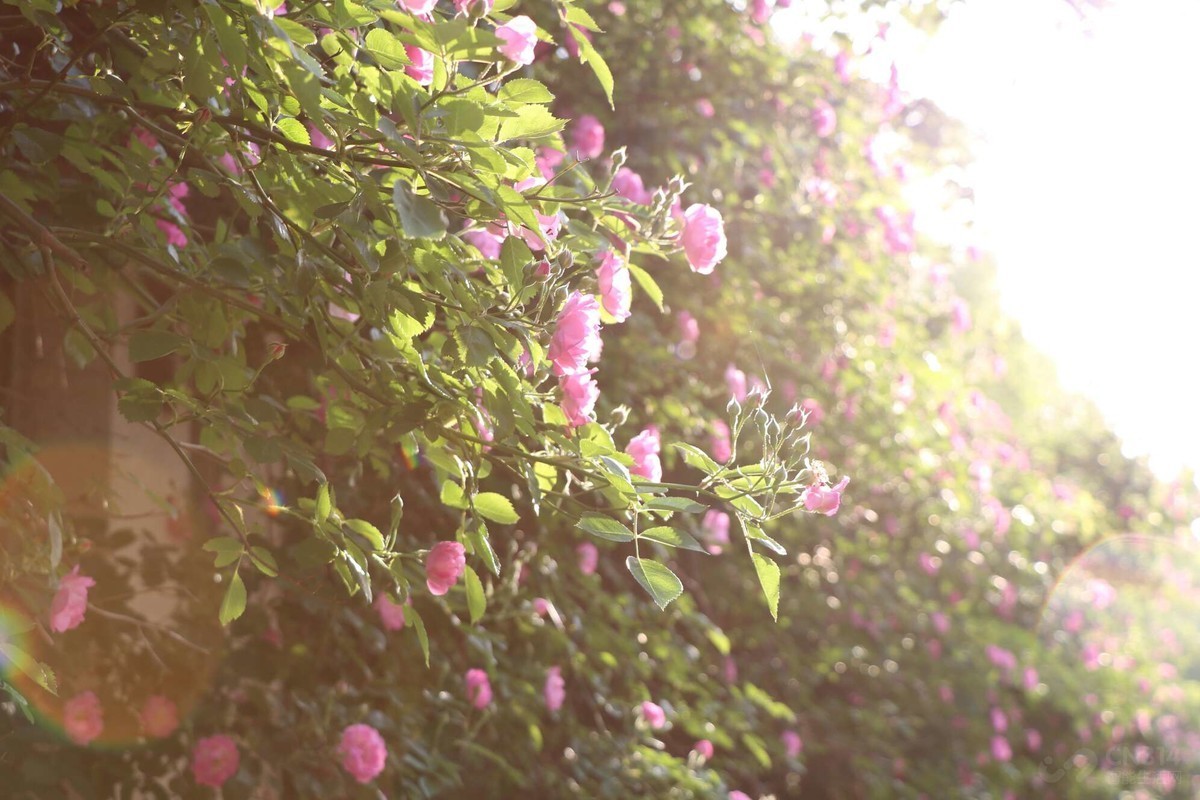 ֵˣĻݸôĲƯ