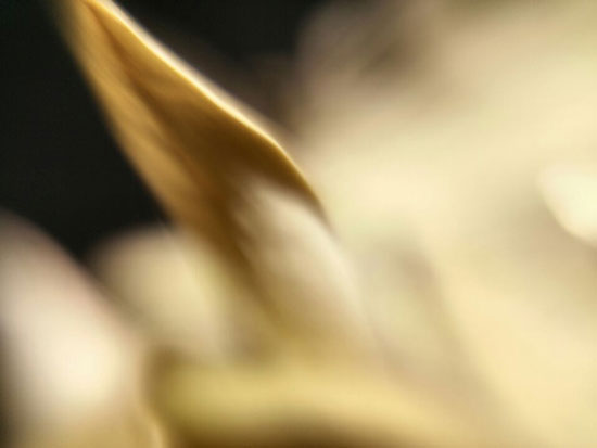 wifi0s01406228440IMG20150105145649.jpg