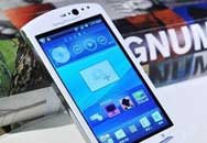 DO you know mt15iͨ3G 