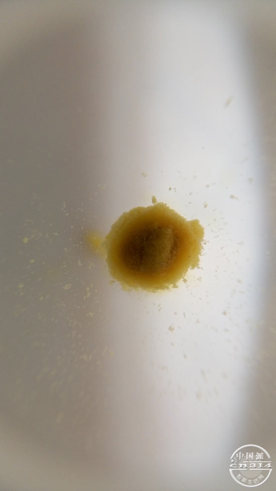 pollen_disolve_first.jpg