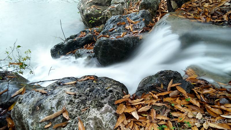 IMG_20161114_165110.jpg