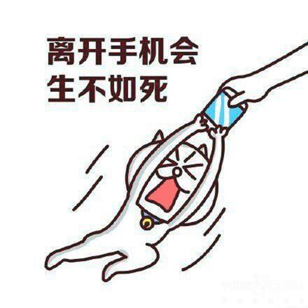 895bda7bdc4d91096cd8e526913987a5.jpg