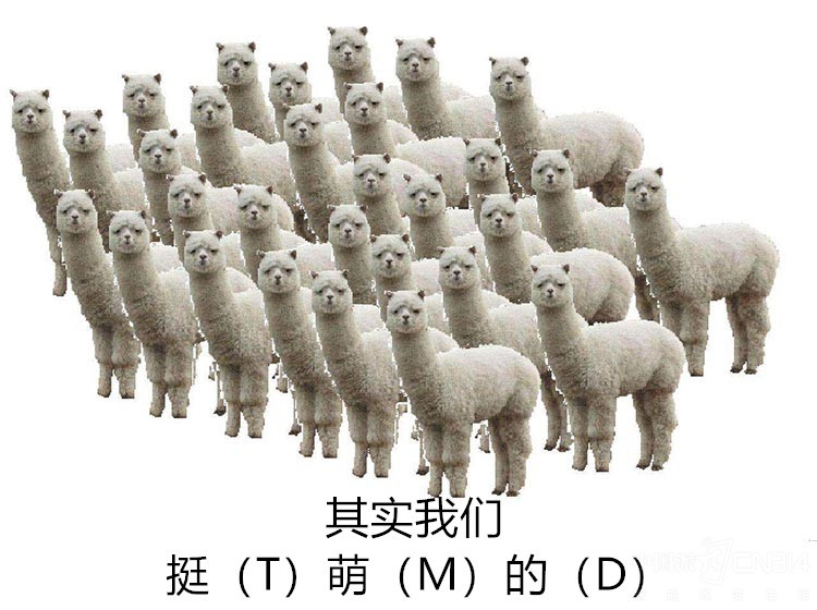 �ܺ�����衰��������Ϸ ����NEX���в���