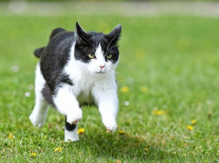 ���Խ�+�˶�׷�� �ֻ���Ӱ����ôרҵ��