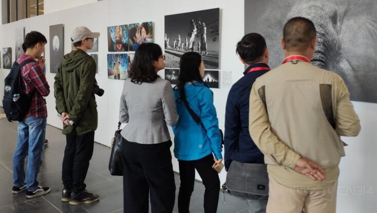 ƽңӰչ������Ʒ��� �ֻ�Ҳ�ľ��ʴ�Ƭ��