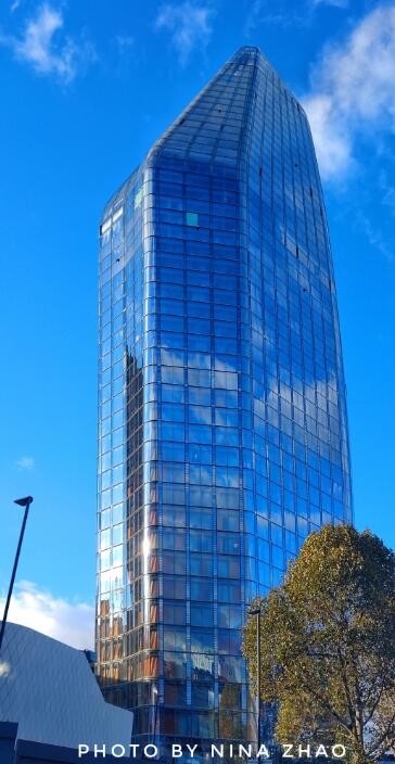 11��С�����λ�����綥����Ӱ���