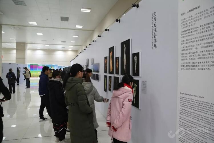 ������Ӱ��չ����վ���ֻ���Ӱ����������