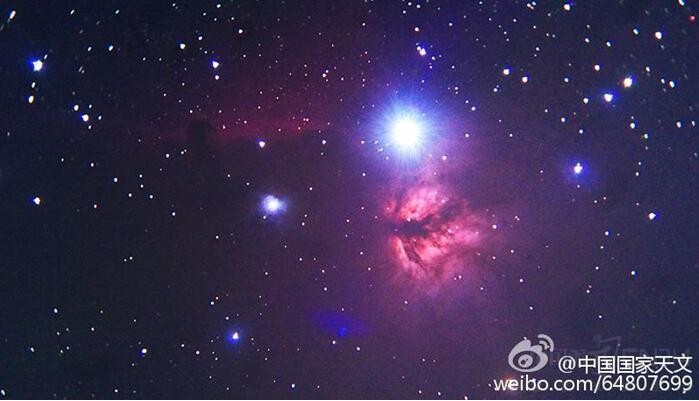 ��������ȫʳ���⼸��������һ��Ҫ֪��