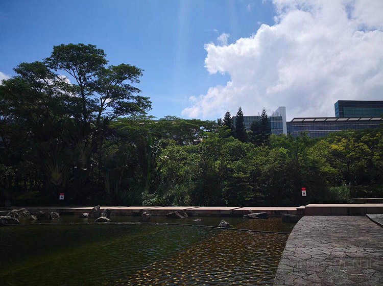 �ιۻ�Ϊ����԰����С���ٴα��𺳵���