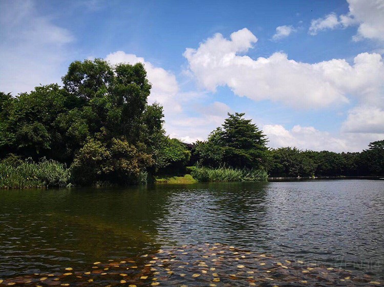 �ιۻ�Ϊ����԰����С���ٴα��𺳵���