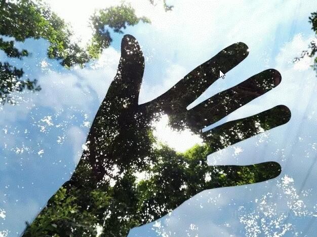 Ϊʲô���Ƕ�˵Ŭ�������ֻ��еĵ�������