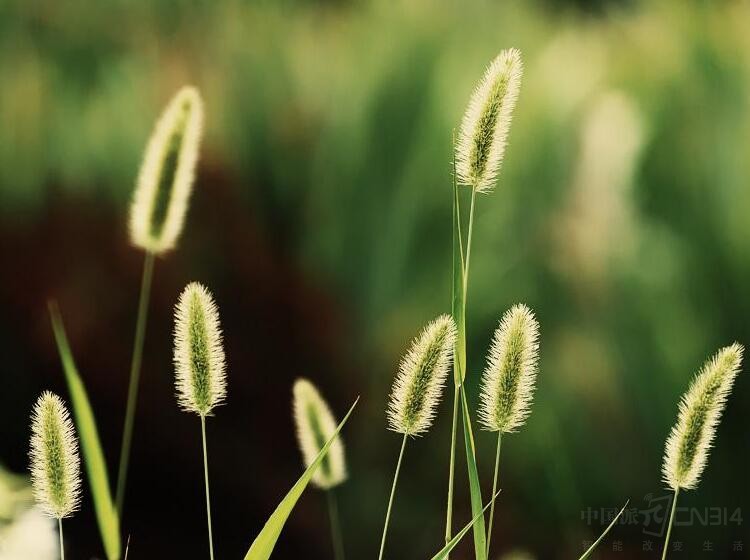 ���Խ�+�˶�׷�� �ֻ���Ӱ����ôרҵ��