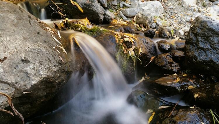 �ֻ��еĵ�������Ŭ���Ǿ�Ȼ�������Ȧ��