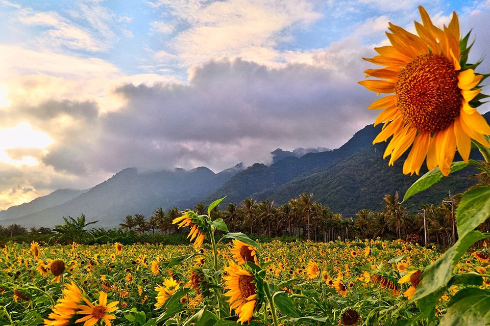 ɫ�ʷǳ���ԭЧ����ʵ��