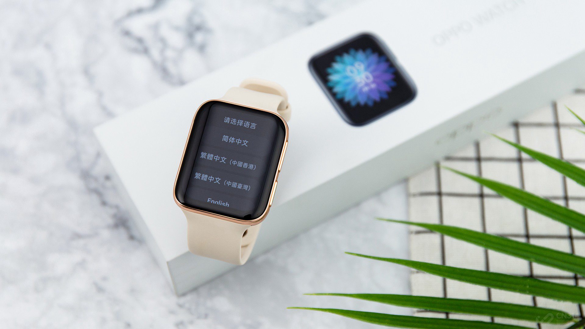 ֵһǣǷ۽汾൱ɫǵӡСרʵСҲԦķɫĽɫıɫĻǳ䣬ܶ˵ע⡣