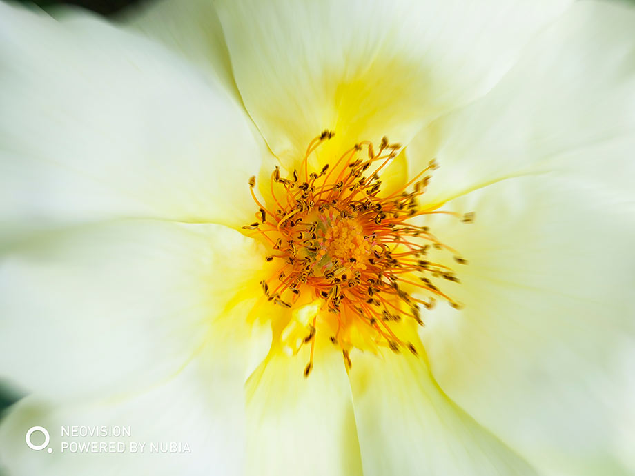 �������е�ϸ�ڶ������ɱ档