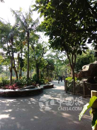 ڵ˹ṫ԰кܶǸݶƬеӪģɭֺ֮þеռǵӰ