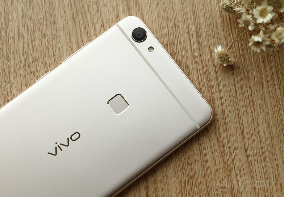 �����ԣ��ڱ������Ϸ�ӵ��һö������������ͷ����Ȼ����ͷ��΢͹�𣬲�����㻹���н���Բ�������ģ���ͬ��ӵ��ָ��ʶ��ģ�飬���ٽ������黹���ٲ��˵ġ�