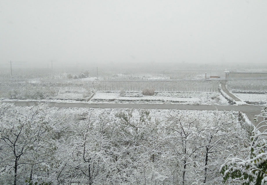 �޻�ѩ����Ŭ����Z9