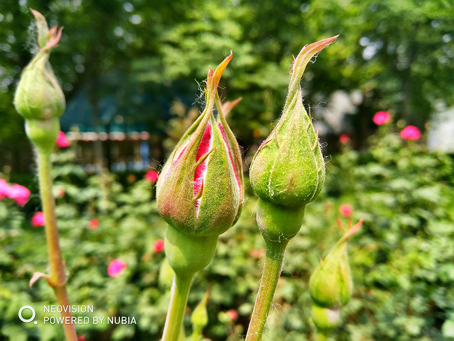 ��������Ҳ��һ������