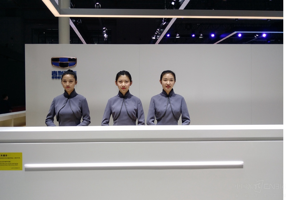 Ƥ������,��ò����������