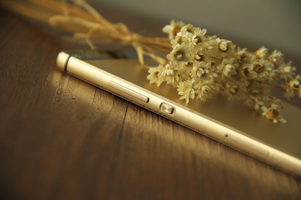 İǳʸУԴĽΪԲǾΣһЩ|ΪP8