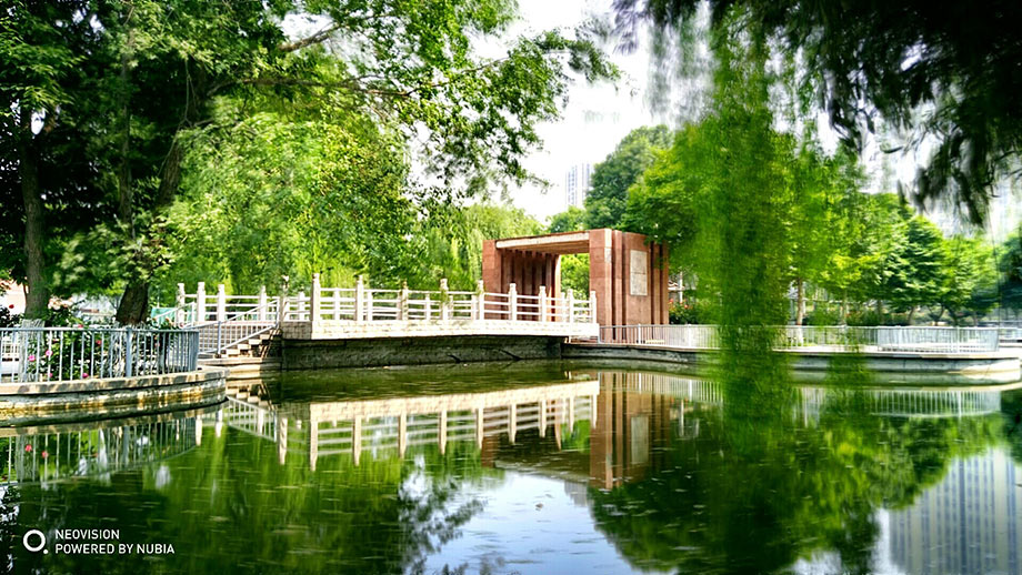 ���������Ҫ��רҵ���ֻ���Ӱ����¼��