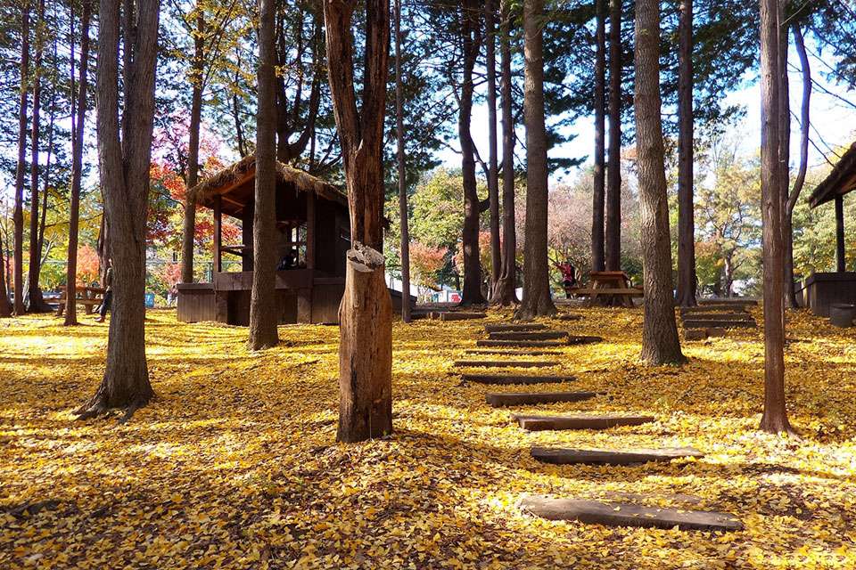 ɫ�ʷǳ���ԭЧ����ʵ��