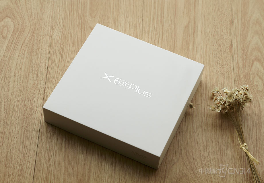 �ڰ�װ���棬vivo X6sPlus�����˱Ƚϴ�ͳ�ļ���ʽ��ƣ����׵����װ��������X6sPlus�����������û�һ������İ���� 