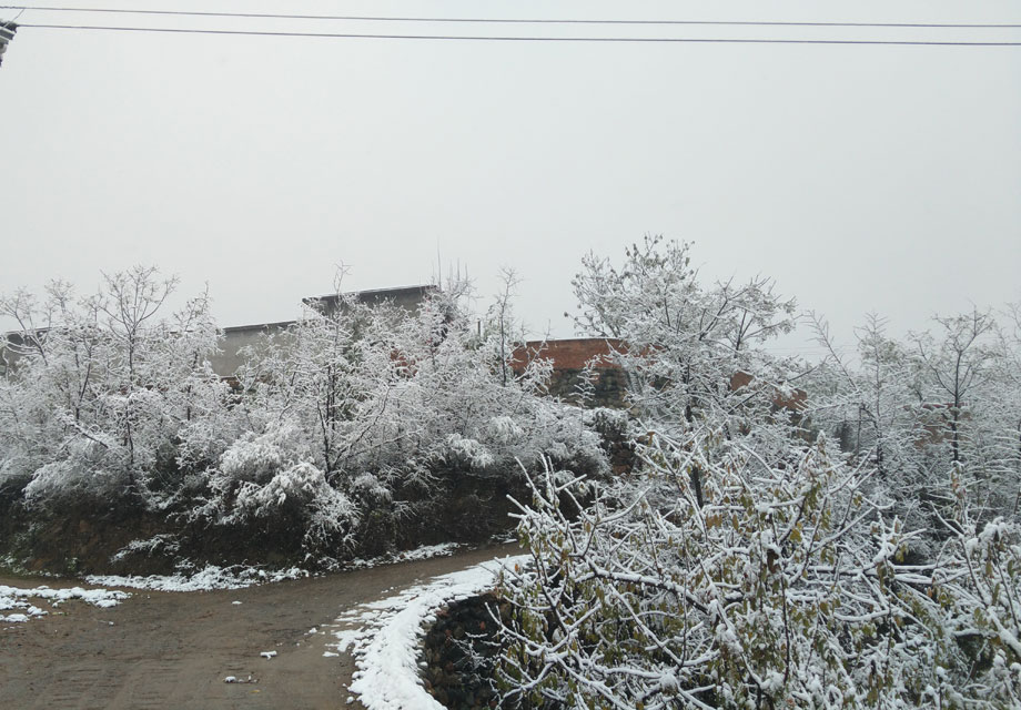 �޻�ѩ��-Ŭ����Z9