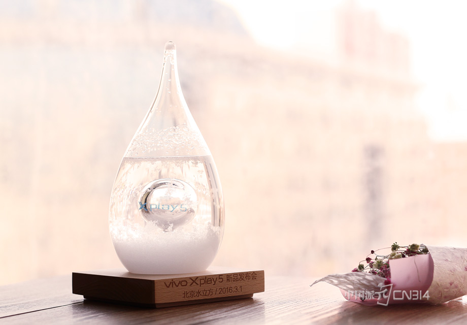 ���µ��������ѵ����ڰ�ʾ����vivo X play 5����ֵ��