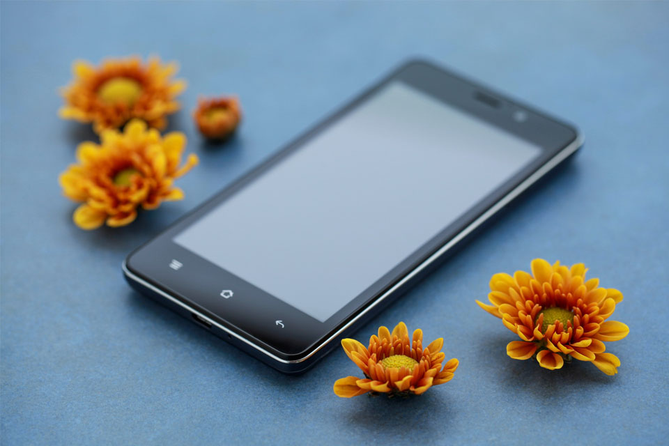 OPPO A11��������˵�ǳ��ʺϵ��ֲ���������������������ϵ���ƣ��ȸ��������ʸУ���ɢ���մɰ㾫�µ��ʸУ����˰������֡�