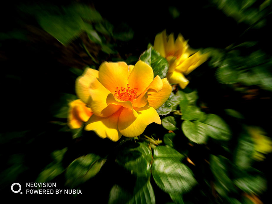 �¼���������ʢ������Ч�����벻��Ŭ����Z17miniʱ������Ĺ��͡�