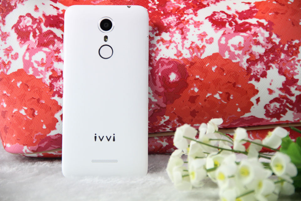 �����������Ҳʮ�����ۡ�