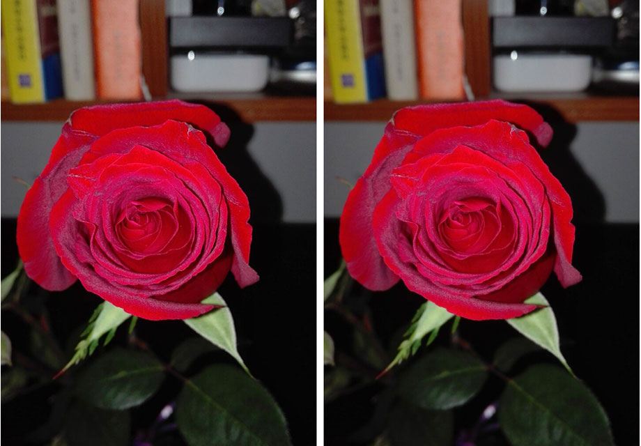 ���˽ڣ�õ�廨��С��not